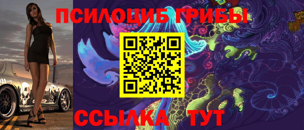 Галлюциногенные грибы Psilocybe Усолье-Сибирское
