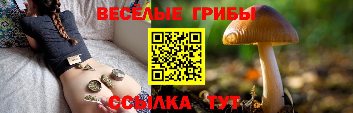 сколько стоит  Галлюциногенные грибы мицелий  Усолье-Сибирское  Вход с VPN  Галлюциногенные грибы Cubensis 